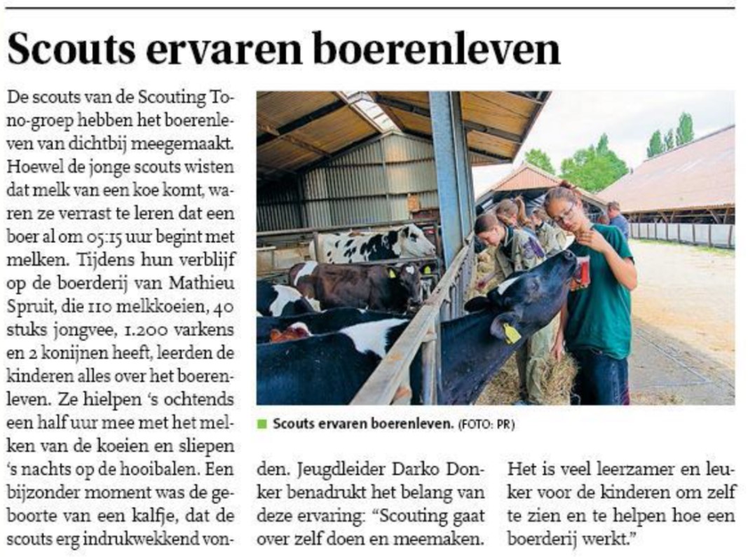 De scouts logeren een weekend lang op een boerderij in Oudewater. Verschillende kranten berichten hierover